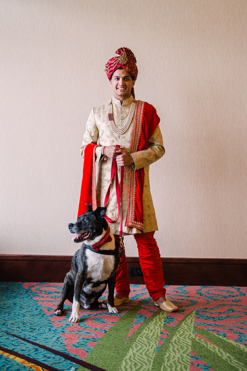 Indian Guy (Groom) in His Wedding Dress Stock Photo - Image of marriage,  costume: 20038060