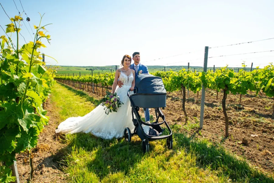 Vineyard Wedding in Austria